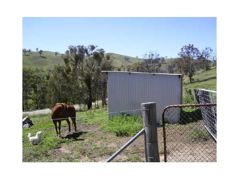 5155 Great Alpine Way, Ensay VIC 3895