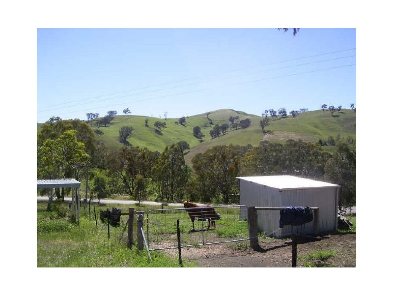 5155 Great Alpine Way, Ensay VIC 3895