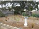 Lucknow VIC 3875