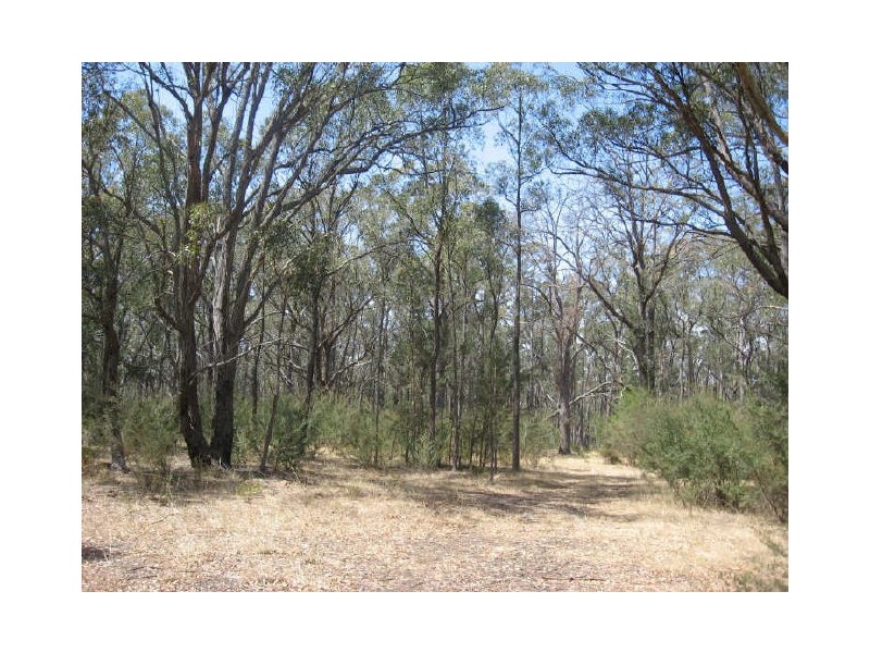 465 Friday Creek Road, Glenaladale VIC 3864