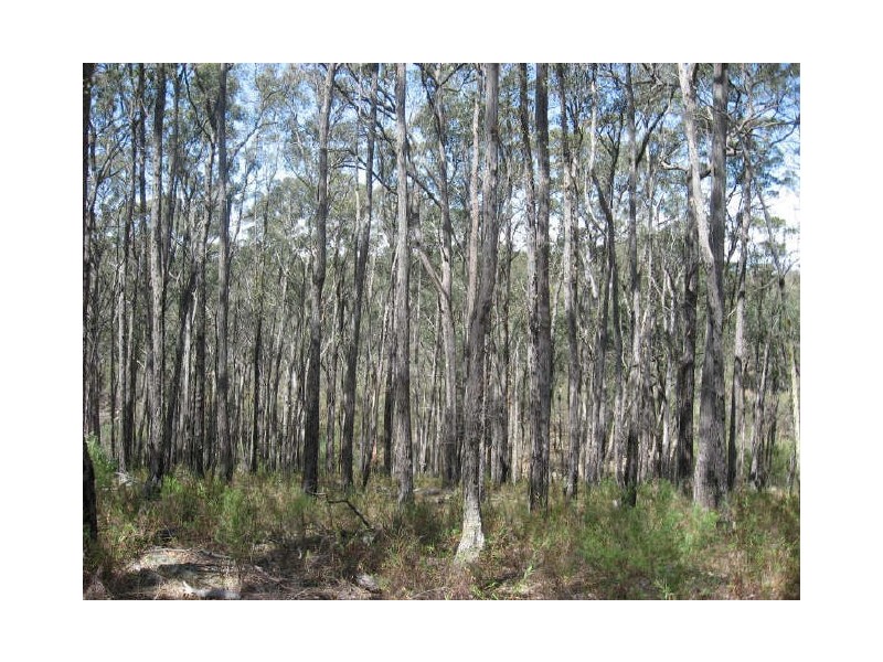 465 Friday Creek Road, Glenaladale VIC 3864