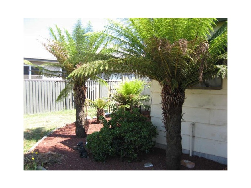 211 Main Road, Lindenow VIC 3865