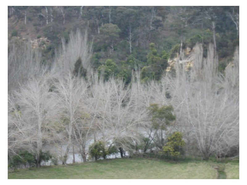 Johnsonville VIC 3902