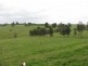 Bairnsdale VIC 3875
