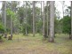 189 Great Alpine Road, Bruthen VIC 3885