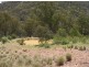 Lot 2 Dargo-Forrest Road, Dargo VIC 3862
