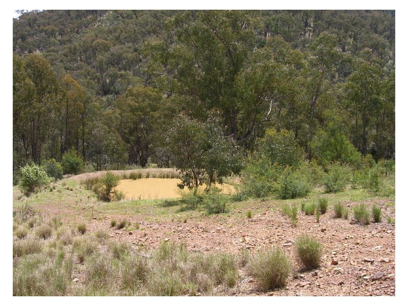 Lot 2 Dargo-Forrest Road, Dargo VIC 3862
