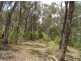 Lot 2 Dargo-Forrest Road, Dargo VIC 3862
