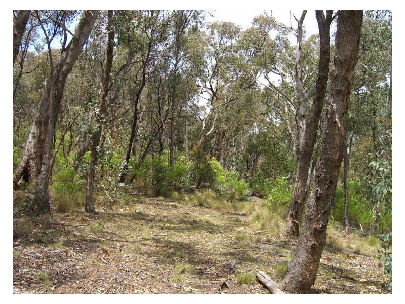 Lot 2 Dargo-Forrest Road, Dargo VIC 3862