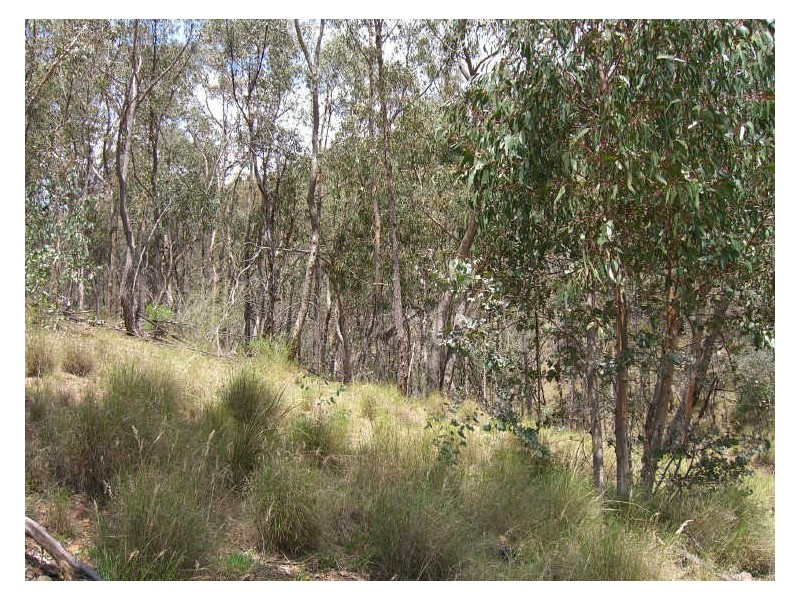Lot 2 Dargo-Forrest Road, Dargo VIC 3862