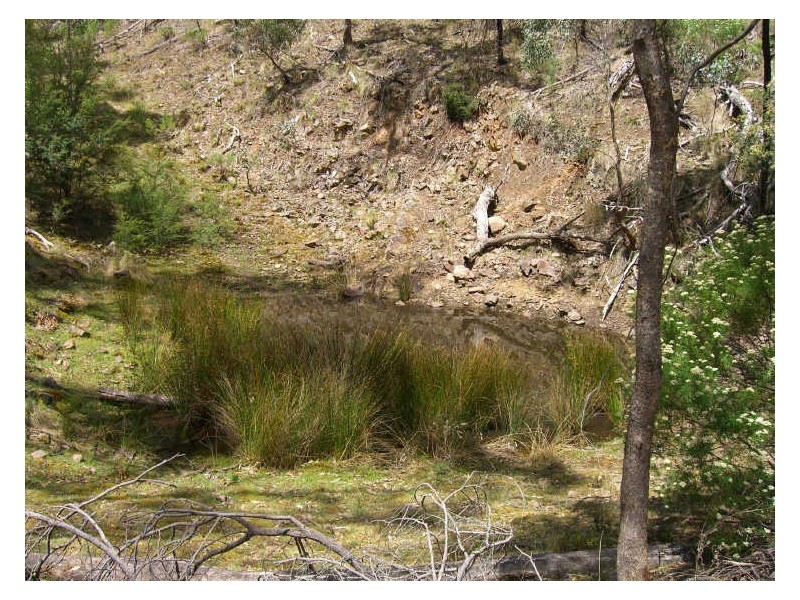 Lot 2 Dargo-Forrest Road, Dargo VIC 3862