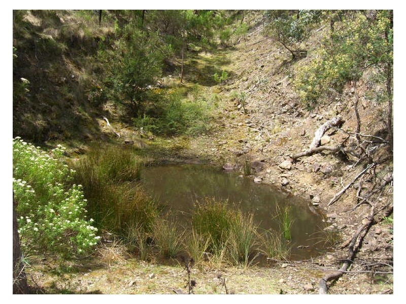 Lot 2 Dargo-Forrest Road, Dargo VIC 3862