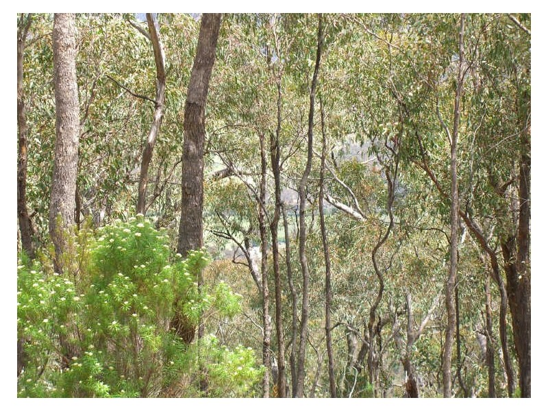 Lot 2 Dargo-Forrest Road, Dargo VIC 3862