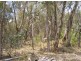 Lot 2 Dargo-Forrest Road, Dargo VIC 3862
