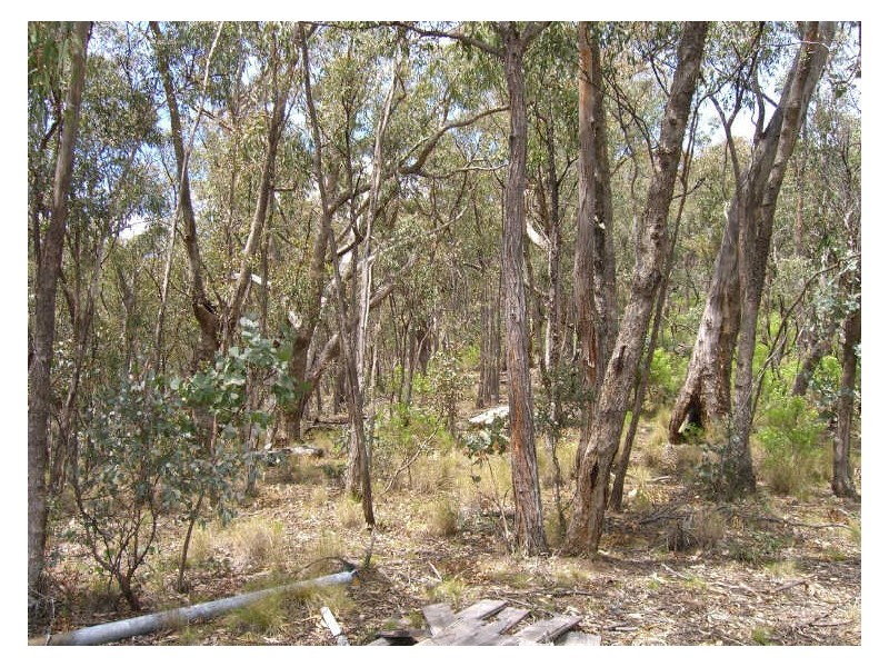 Lot 2 Dargo-Forrest Road, Dargo VIC 3862