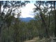 Lot 2 Dargo-Forrest Road, Dargo VIC 3862