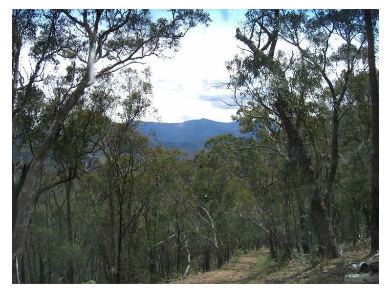 Lot 2 Dargo-Forrest Road, Dargo VIC 3862