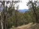 Lot 2 Dargo-Forrest Road, Dargo VIC 3862