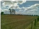 Princes Highway, Bairnsdale VIC 3875