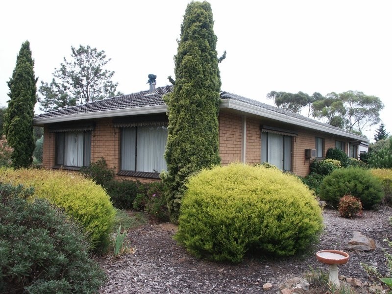 440 Omeo Highway, Lucknow VIC 3875