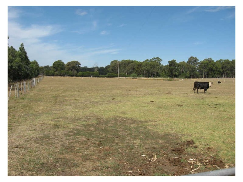 Tambo Upper VIC 3885