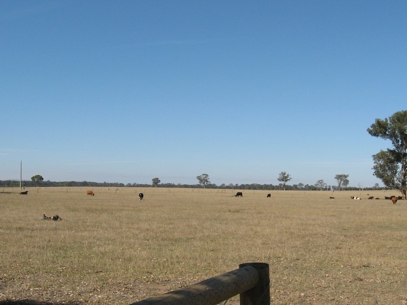 1&2  870 Fernbank Glenaladale Road, Fernbank VIC 3864