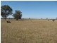 1&2  870 Fernbank Glenaladale Road, Fernbank VIC 3864