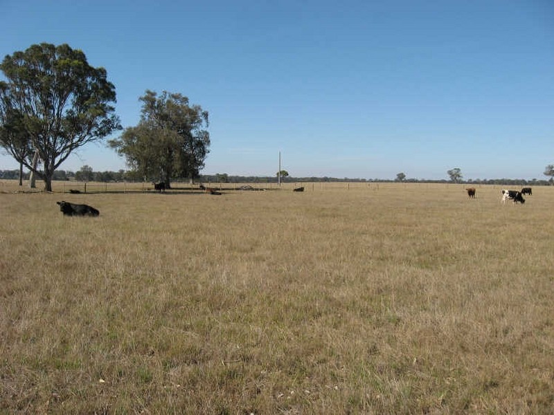 1&2  870 Fernbank Glenaladale Road, Fernbank VIC 3864