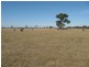 1&2  870 Fernbank Glenaladale Road, Fernbank VIC 3864