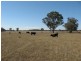1&2  870 Fernbank Glenaladale Road, Fernbank VIC 3864