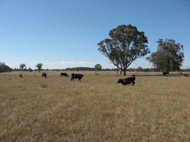 1&2  870 Fernbank Glenaladale Road, Fernbank VIC 3864