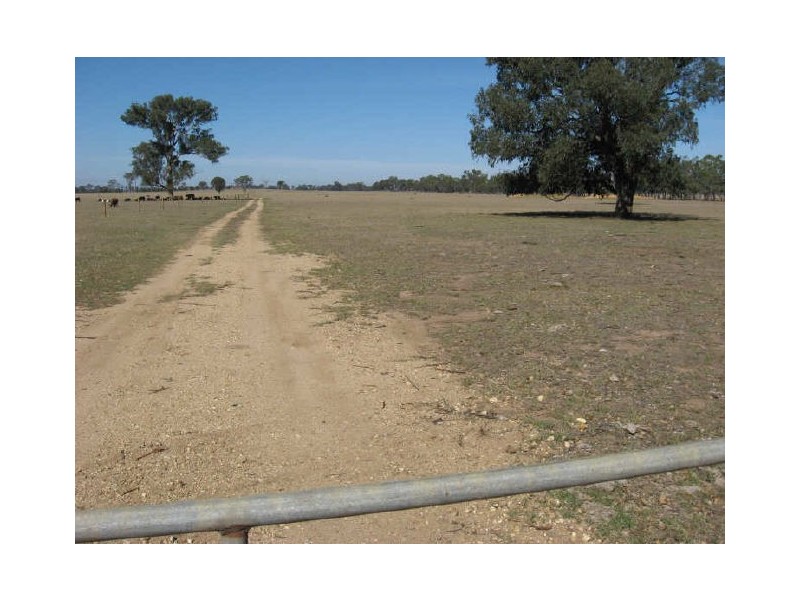 Lot 3 870 Fernbank Glenaladale Road, Fernbank VIC 3864