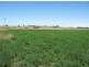 Bairnsdale VIC 3875