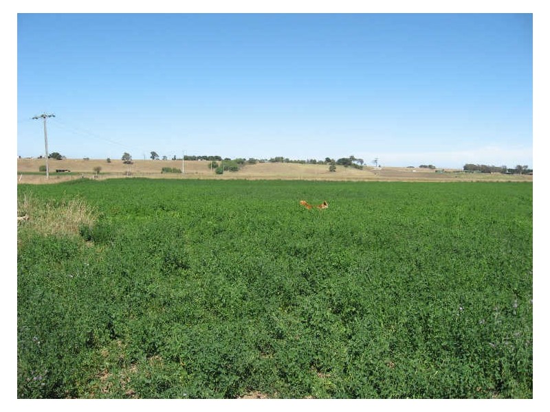 Bairnsdale VIC 3875