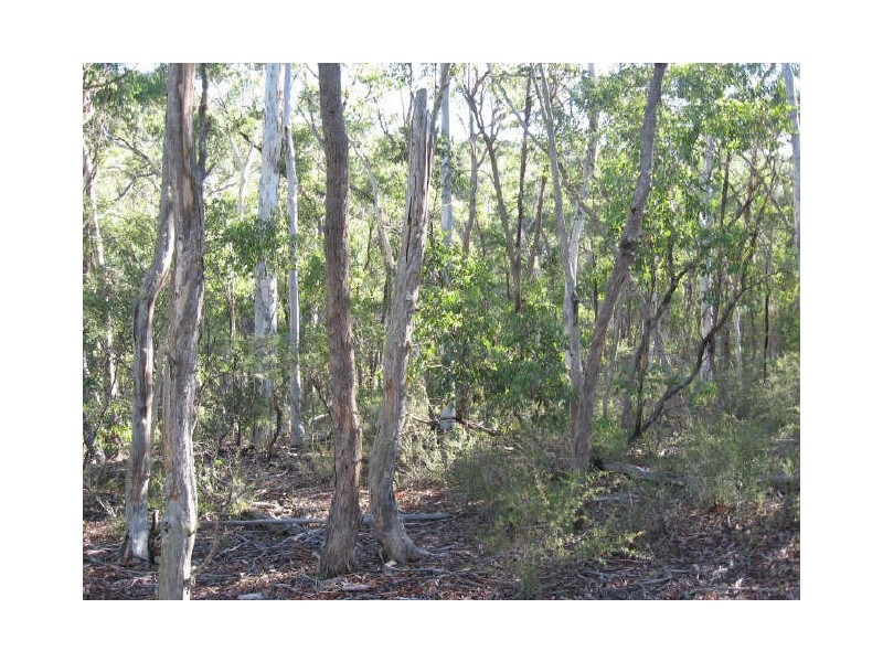 Hutchinson Road, Bonang VIC 3888