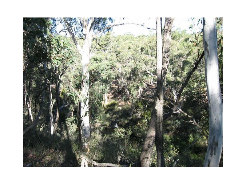 Hutchinson Road, Bonang VIC 3888