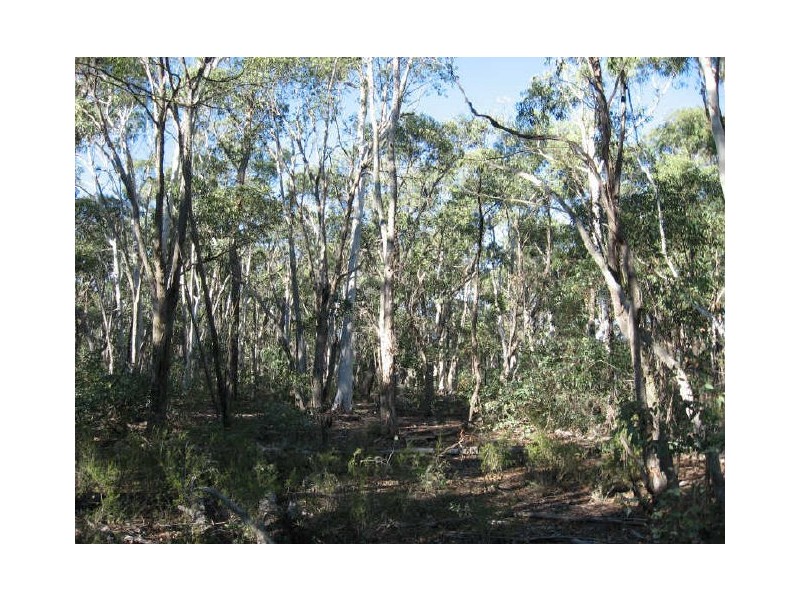 Hutchinson Road, Bonang VIC 3888