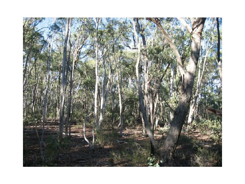 Hutchinson Road, Bonang VIC 3888