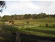 Bairnsdale VIC 3875