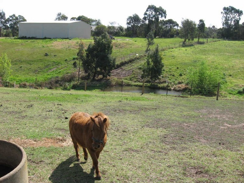 54 Dooley Street, Bairnsdale VIC 3875