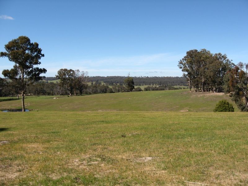 Sarsfield VIC 3875