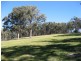 Sarsfield VIC 3875