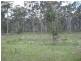 223B McArthurs Lane, Bairnsdale VIC 3875
