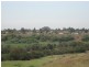 Wy Yung VIC 3875