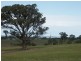 Lot 1 Kettles Lane, Johnsonville VIC 3902