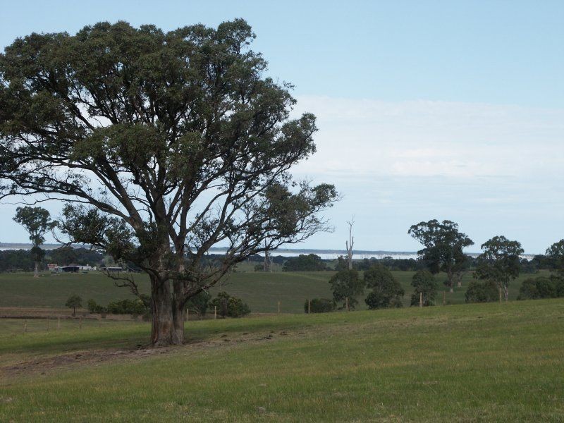 Lot 1 Kettles Lane, Johnsonville VIC 3902