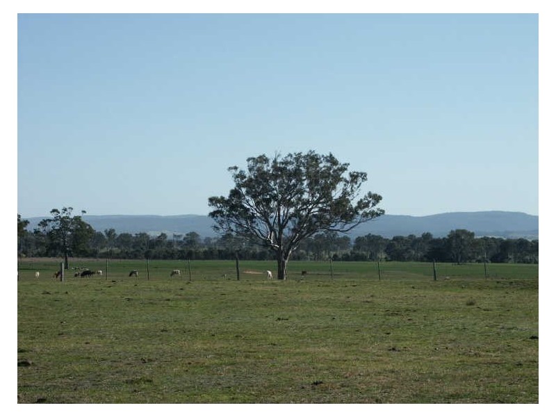 120 Andersons Lane, Bairnsdale VIC 3875