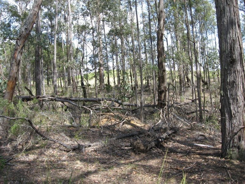 375 Bellbird Road, Bairnsdale VIC 3875