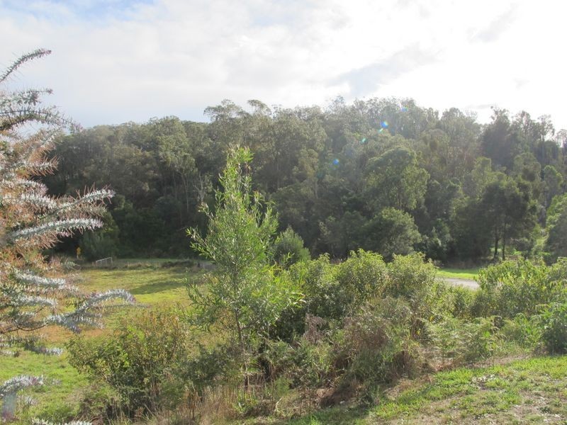 55 Dawson Street, Wiseleigh VIC 3885