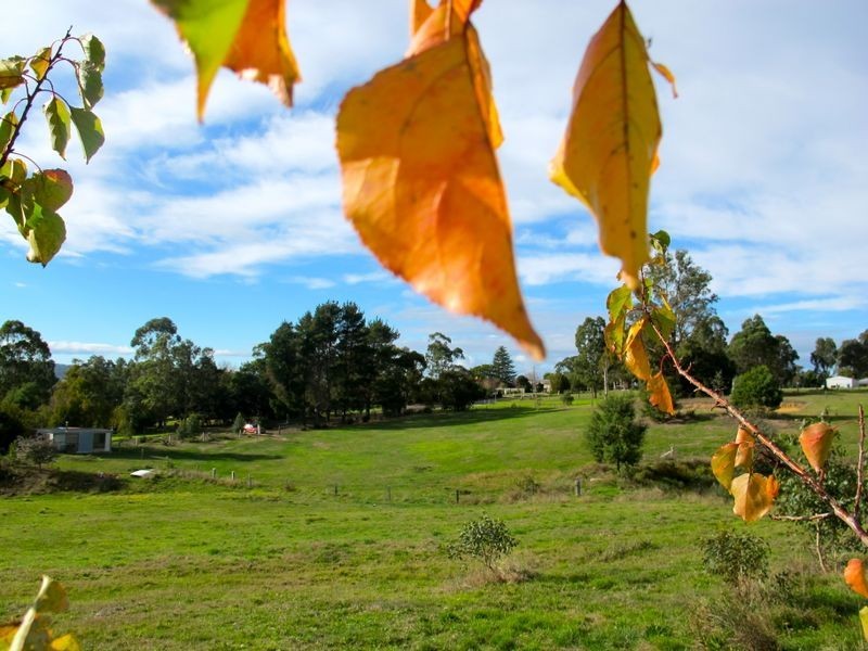 55 Dawson Street, Wiseleigh VIC 3885